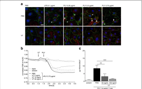 Fig. 2 Vasculotide (VT) stabilized endothelial barrier function in vitro and ex vivo.and cell nuclei (with tight intercellular contacts and thin actin fibers (cells (hPMVEC) were preincubated for 90 minutes with 300 ng/ml VT or solvent (PBS) and stimulated