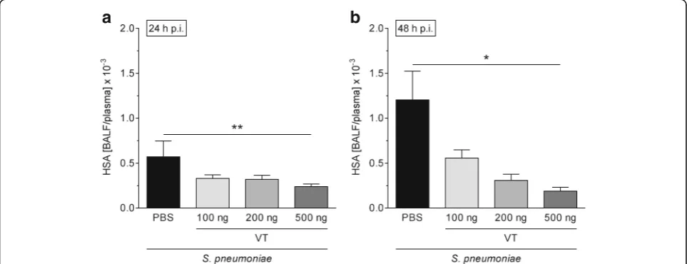 Fig. 3 Vasculotide (VT) therapy decreased pulmonary hyperpermeability in Streptococcus pneumoniae-infected mice