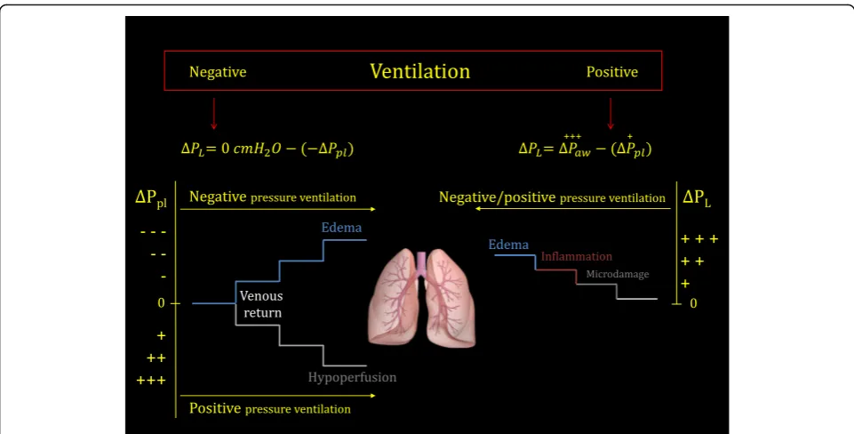 Fig. 1 Changes of transpulmonary pressure (ΔPL) and of pleural pressure (ΔPpl) during negative or positive pressure ventilation