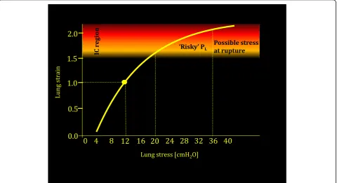 Fig. 2 Lung strain (tidal volume/FRC) as a function of lung stress (transpulmonary pressure)