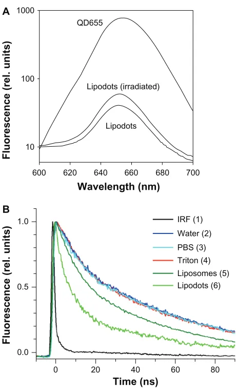 Figure 6 (decay of QD655 in different solutions. Fluorescence intensity is normalized to 1 at initial values.Abbreviations:A) Fluorescence spectra of QD655 in PBs and lipodots