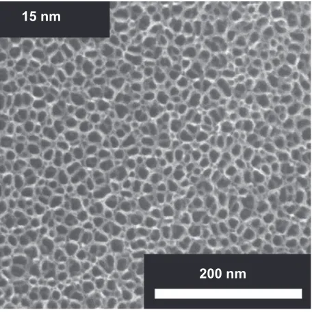 Figure 1 electron microscope images of the surfaces of vertically aligned TiOnanotubes of 15 nm diameter