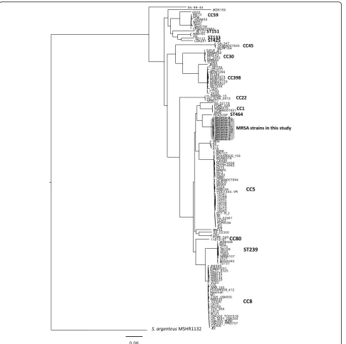 Fig. 1 Phylogenic tree based on whole genome SNPs of the MRSA strains. S. argenteus MSHR1132 was used as the outgroup