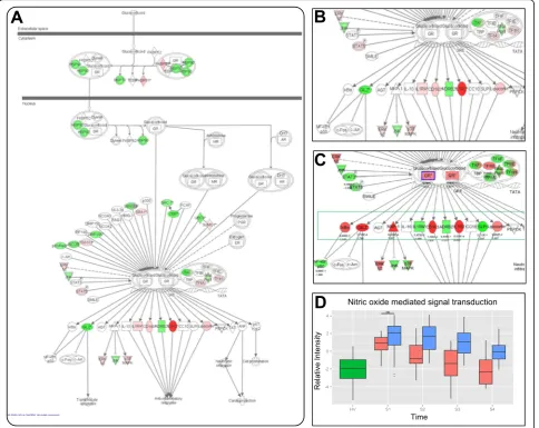 Fig. 2 Modulation of the glucocorticoid receptor and nitric oxide signaling pathways.patients (pathway [GO:0007263] in HV (differences was assessed using repeated measures analysis of variance taking into account treatment, time and gene (probes) effects