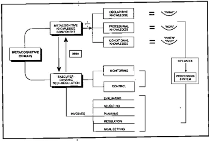 FIGURE 2: The Metacognitive Domain 