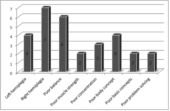Figure 1: Most prevalent problems (n= 33)