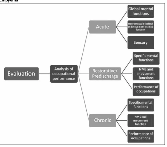 Figure 3: Analysis of occupational performance for patients with brain abscess and  Empyema