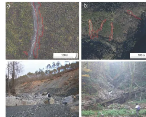 Figure 11. Example of lateral inputs (marked in red in the orthopho-tos, a, b) of sediment to the channel