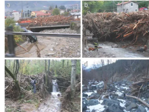 Figure 1. (a) LW clogging in the Magra river catchment after the2011 ﬂash ﬂood, upstream view of a bridge in the town of Brug-nato