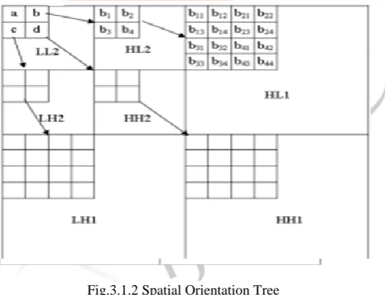 Fig.3.1.2 Spatial Orientation Tree 