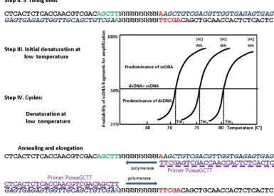 Figure 1Diagram illustrating the PCR MP techniqueDiagram illustrating the PCR MP technique.