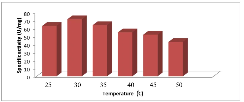 Figure (10): Effect of incubation temperature on protease production by the C. 