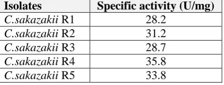 Figure (1): Proteolytic activity of C.sacazakii R4 on 10% skim milk agar after incubation at 37°C for 24hrs