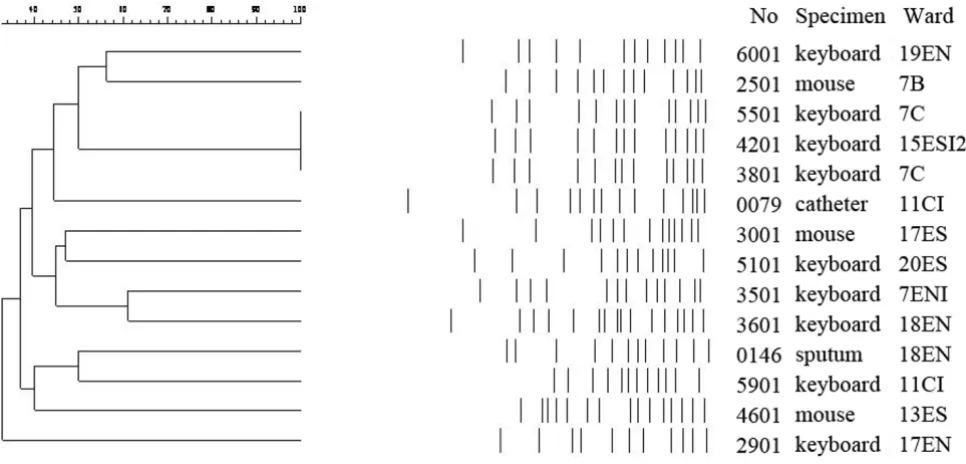 Table 2: Culture results of MRSA and A. baumannii isolated from computer interface surfaces according to type of computer interface, type of ward, and computer function.