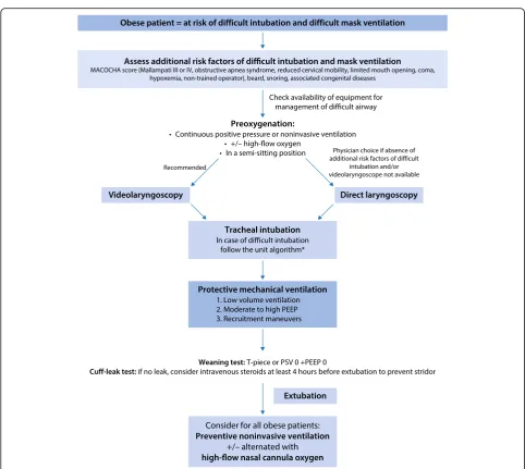 Fig. 1 Suggested airway and ventilation management algorithm in the obese patient in the intensive care unit