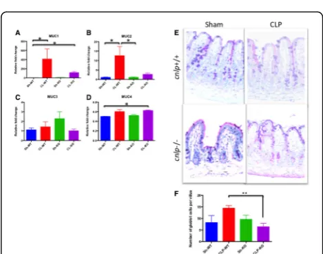 Fig. 11 (abstract P11). Cathelicidin is upregulated after cecal-higher sepsis severity score and (upon experimental sepsis