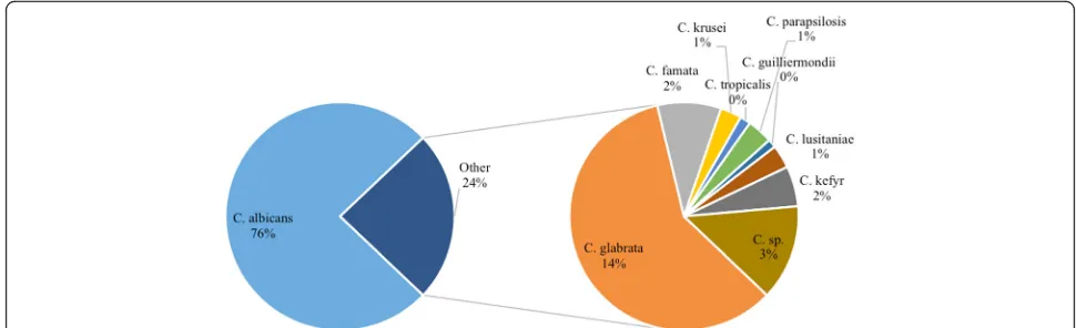 Fig. 3 Total distribution of the different Candida species in the hospital. KEY: C. sp