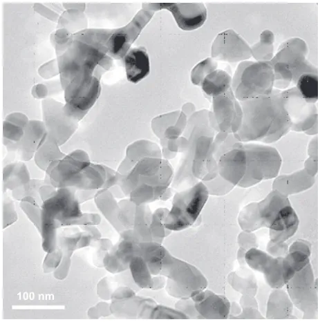 Figure 1 Transmission electron microscopy image of nanoscaled ZnO particles.