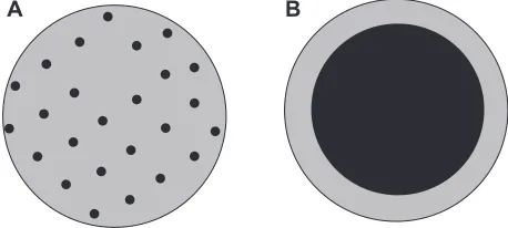 Figure 7 A schematic of a matrix structure (A), and encapsulated structure (B).