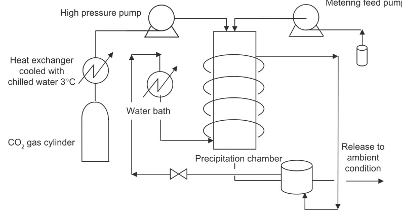 Figure 2 Schematic diagram of the apparatus for the supercritical antisolvent process.