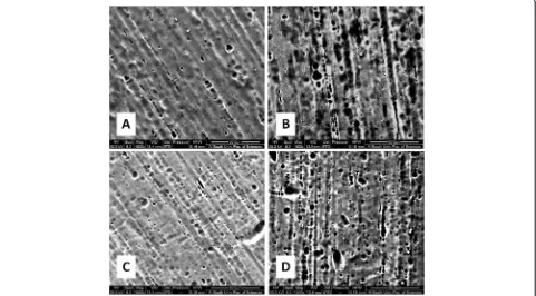 Fig. 2 Experimental set after bonding