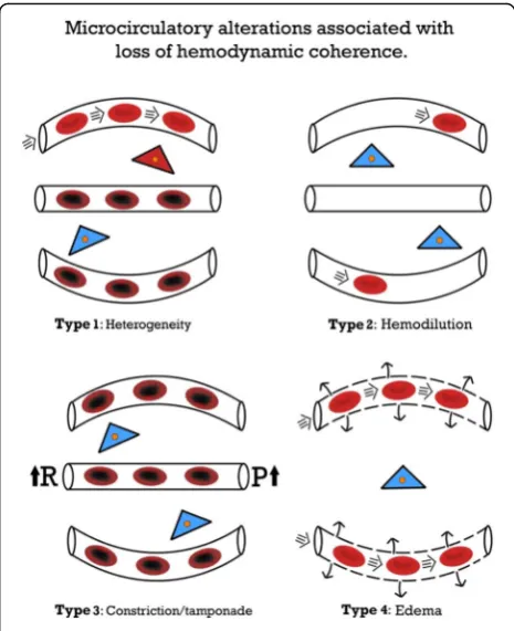 Fig. 1 Microcirculatory alterations that underlie the loss ofhemodynamic coherence between the macro- and microcirculationsresulting in tissue hypoxia