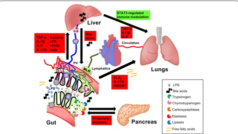 Table 2 Gut–lung crosstalk