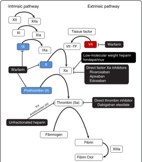 Fig. 1 Sites of action of prothrombin complex concentrates,3 F- and 4 F-PCCs; the red box indicates factor present in 4 F-PCCs.3 F-PCCnonvitamin K antagonist oral anticoagulants, and warfarin on thecoagulation cascade