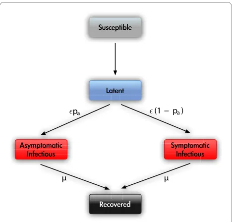 Figure 2 Disease compartmental structure. Diagram flow of the in-fection transmission structure adopted by both models