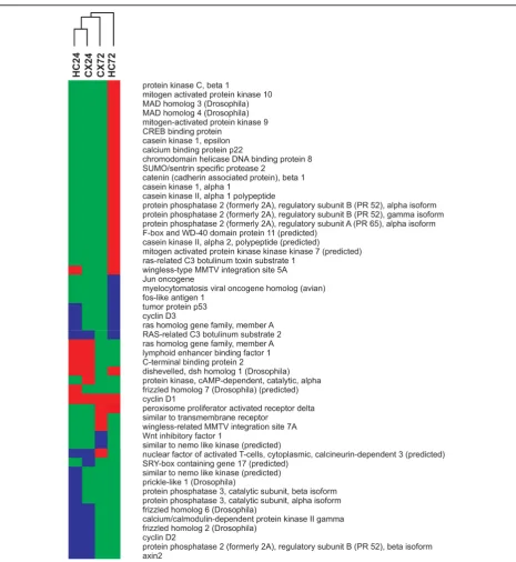 Figure 6 Wnt signalling pathway. Clustering of experimental groups based on significantly regulated genes of the wnt signalling pathway.Up-regulated [red] unchanged [green] down-regulated [blue]
