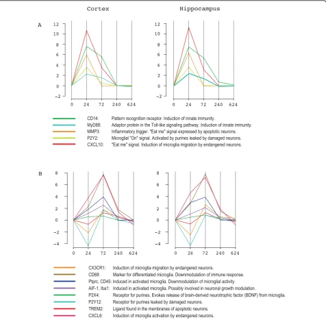 Figure 9 Regulation of microglial response. Expression kinetics of genes, involved in microglia regulation, in response to pneumococcalinfection