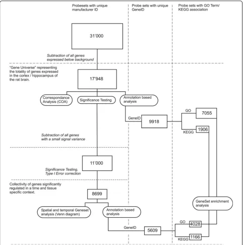 Figure 1 Data Analysis Flowchart. Figure 1: Overview of the data analysis strategy chosen for the present work