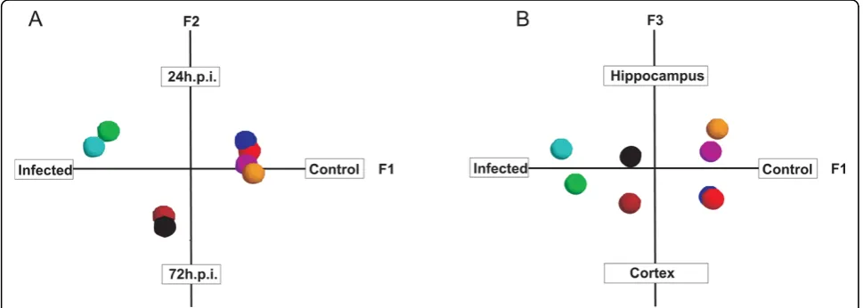 Figure 3 COA analysislevel in a given experimental group. Each experimental group is represented by a coloured globe