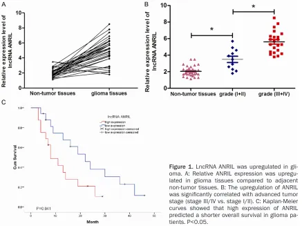 Figure 1. LncRNA ANRIL was upregulated in gli-oma. A: Relative ANRIL expression was upregu-lated in glioma tissues compared to adjacent non-tumor tissues