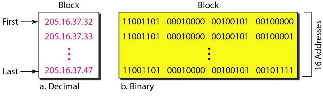 Figure 19.4  A network configuration for the block 205.16.37.32/28