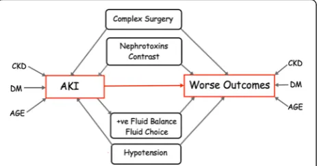 Fig. 1 Influences on outcome for AKI. Influences of variousco-morbidities on the development of AKI, and unfavourablelong-term outcomes