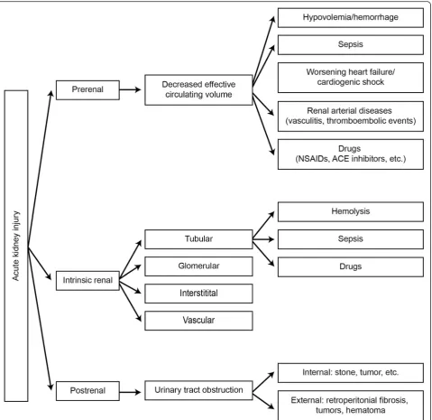 Fig. 6 Diagnostic and management approach to patients with acute kidney injuries. ACEI angiotensin-converting enzyme inhibitors, ARB angiotensinreceptor blockers, NSAID nonsteroidal anti-inflammatory drug
