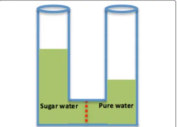 Fig. 4 The context of the most difficult question in the osmosis question—classical U-tube example