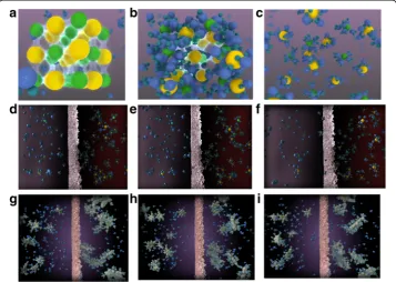 Fig. 1 The static visualizations of the three 3-D DCV clips integrated in the osmosis assessment