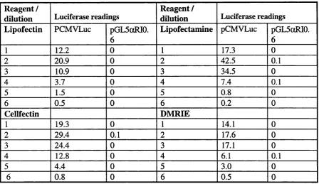 Table 2.7: Lipofectamine mediated transfection of DU145 in 6 well plates.