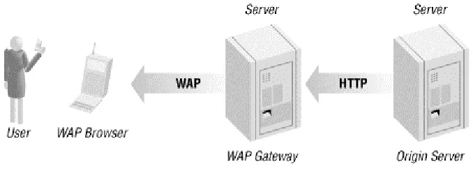 Figure P.2. WAP chain of processing 