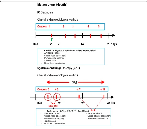 Fig. 1 Details of the study methodology