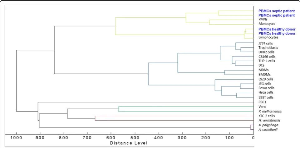 Fig. 2 Dendrogram representation of PBMCs. The dendrogram constructed by Ouedraogo et al