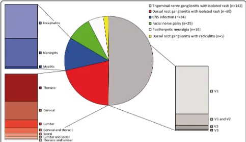 Fig. 1 Distribution of 282 patients with varicella zoster virus reactivation. Patients suffered from trigeminal nerve ganglionitis with segmental rash(V1, V1 + V2, V2, or V3), dorsal root ganglionitis with segmental rash (cervical, thoracic, lumbar, sacral