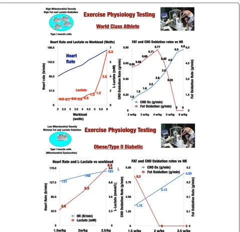 Figure 6 a: Exercise Physiology Testing in World Class Athlete. b: Exercise Physiology Testing in Obesity/Type 2 Diabetes