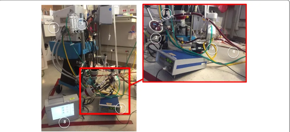 Fig. 2 ECMO circuit components and flow. Flow through the ECMO circuit starts with the venous drainage cannula (1), which is propelledforward by the pressure gradient generated by the centrifugal pump head (2)