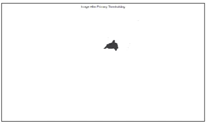 Figure 3: Image after Primary Thresholding 
