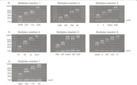 Figure 1 Multiplex PCR reactions adapted to colonizing pneumococci. M means molecular size in bp.