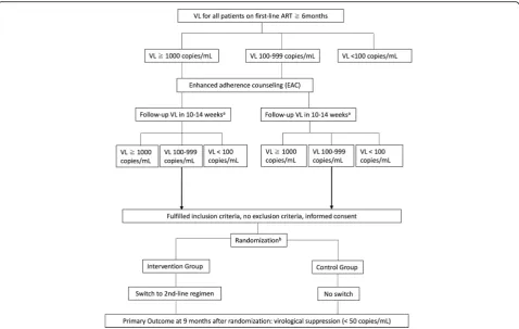 Fig. 1 Flow Chart of the SESOTHO trial: screening, randomization and primary endpoint