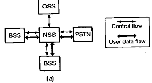Figure 15.3: NSS and its environment. (a) The external environment